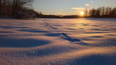 Puesta-De-Sol-En-El-Paisaje-Invernal,-Huellas-De-Conejos-En-Nieve-Prístina,-Toma-Ascendente