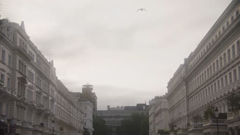 wide shot of white buildings in west london