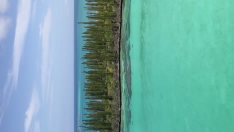 uno de los islotes que conforman el archipiélago en la isla de los pinos, nueva caledonia - empuje aéreo vertical hacia adelante