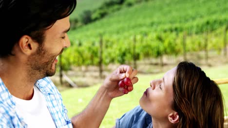 man feeding grapes to woman in the farm