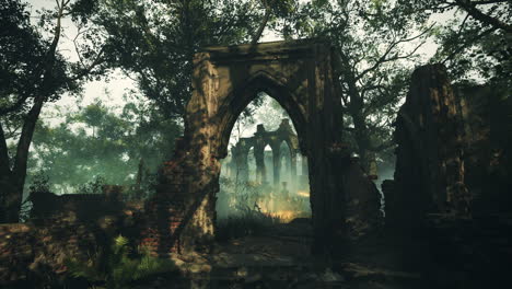 ruins of a gothic chapel in a forest