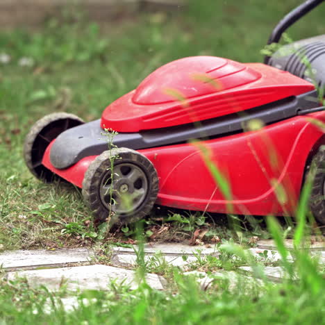 electric lawn mower in process outdoors. young worker uses lawn mower to mow green grass in the garden in summer.