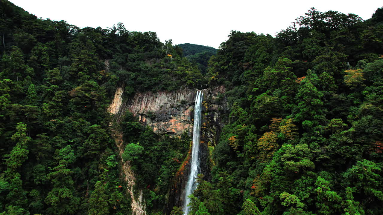 Drone Flys Over Tree Canopy Toward Nachi Falls, Wakayama Japan