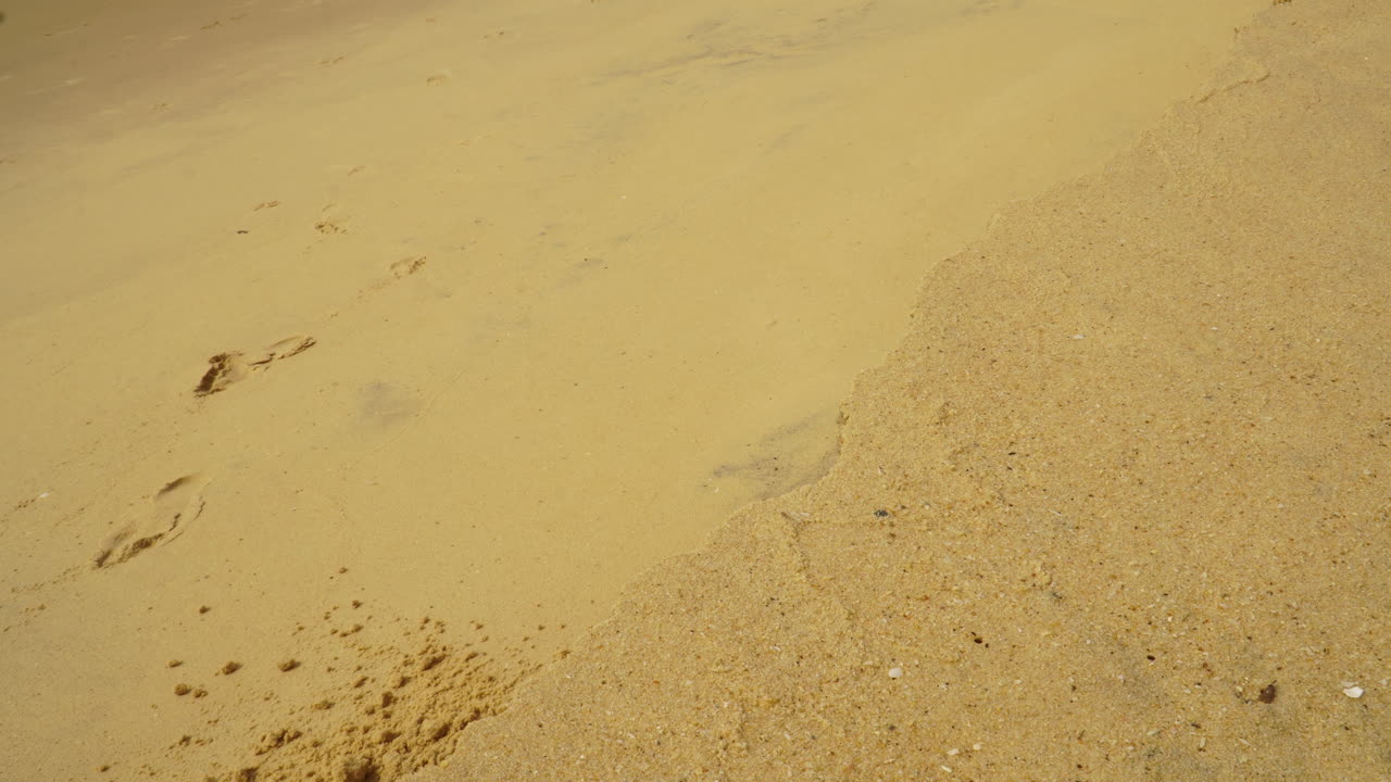 해변 침식 과정으로 인해 모래 해변의 일부가 무너짐, 정적 보기