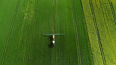 imágenes aéreas de tractores rociando el suelo y los cultivos jóvenes en primavera en el campo