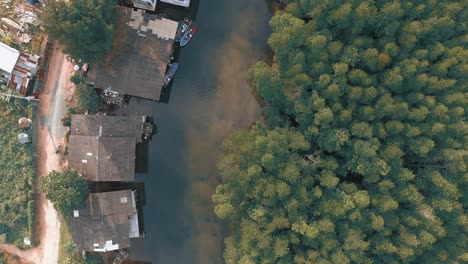 aerial view of a calm river surrounded by lush mangrove forest