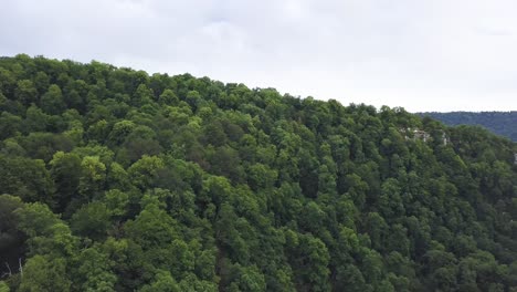 mountainous forest landscape