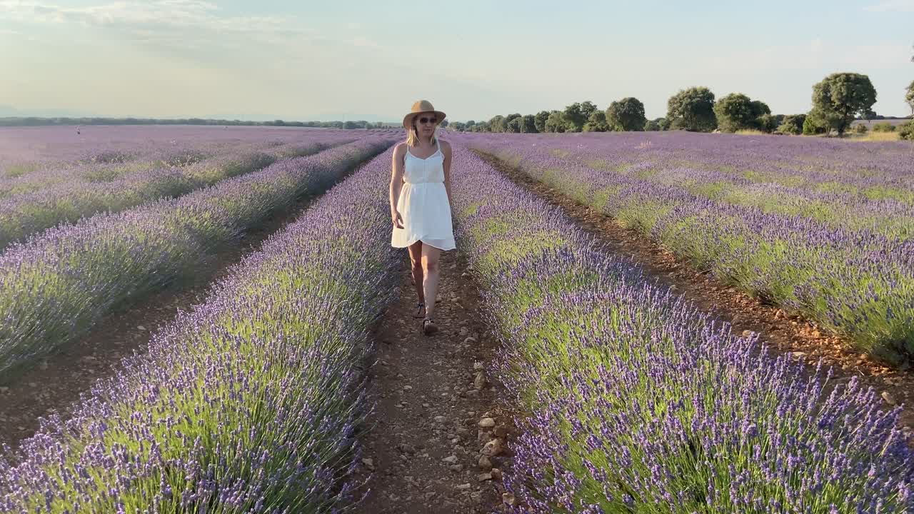 bonita chica rubia caucásica caminando hacia la cámara a través del campo de lavanda en provenza