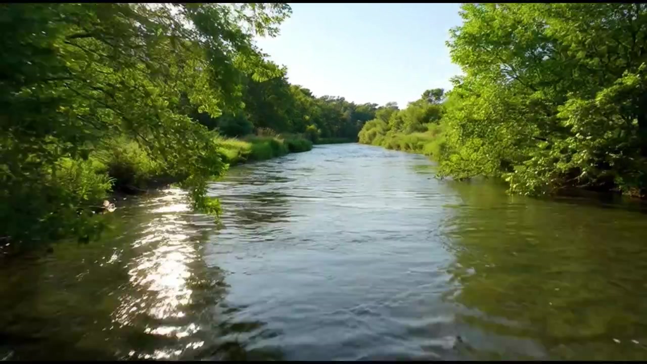 Vista dal basso di un fiume calmo che scorre attraverso una foresta verde e rigogliosa