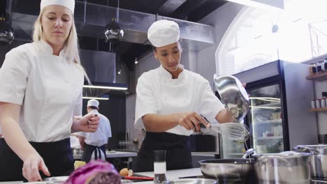 caucasian and african american female chefs in a restaurant kitchen preparing food