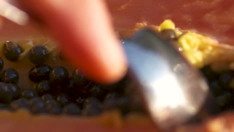 slow motion macro close-up of a fresh, ripe, juicy papaya being deseeded