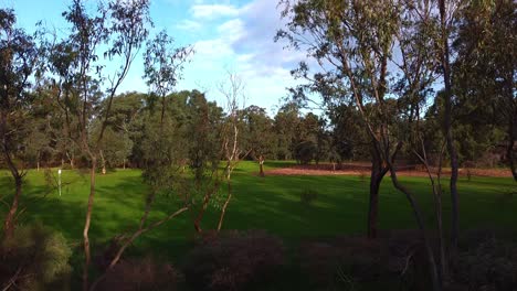 Scenic-Aerial-Rise-Up-Shot-Over-Trees-And