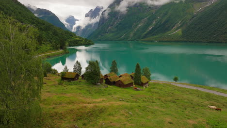 traditional scandinavian sod roof houses on bank of scenic lovatnet lake