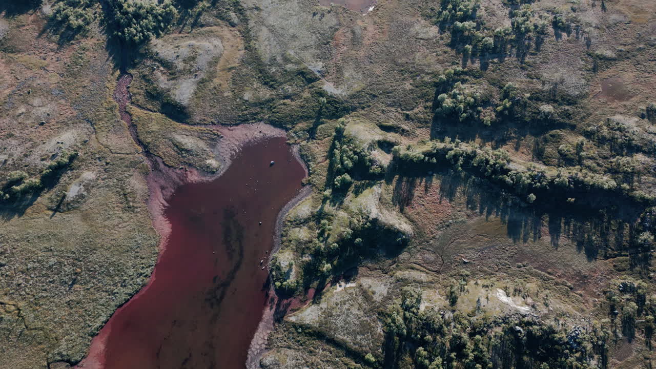 cima aérea y reveladora sobre el paisaje natural en las montañas, paisaje idílico y tranquilo, concepto de naturaleza intacta
