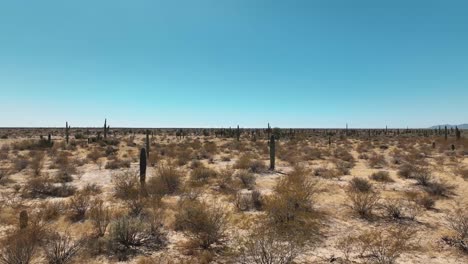 Toma-Aérea-De-Un-Dron-A-Través-Del-Desierto-A-Baja-Altura