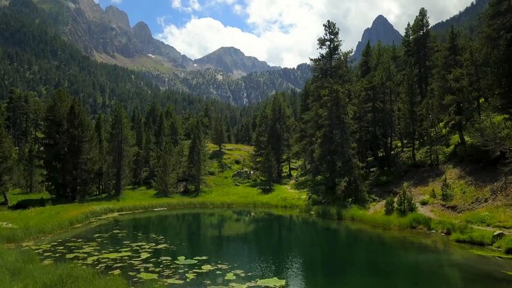 Vol aérien au-dessus d'un lac de prairie en direction d'une forêt de conifères dans les Pyrénées