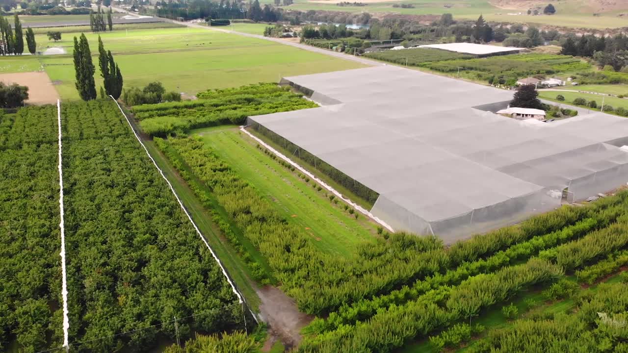 Aerial at an organic fruit plantation with variety of plants in different stages