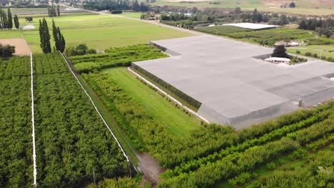 aerial at an organic fruit plantation with variety of plants in different stages
