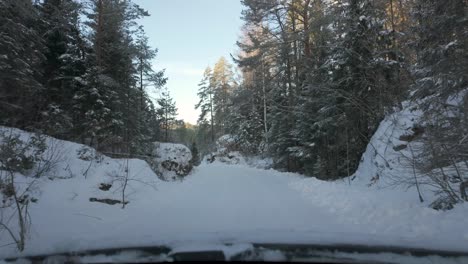 POV-Driving-On-Snowy-Road-In-The-Forest