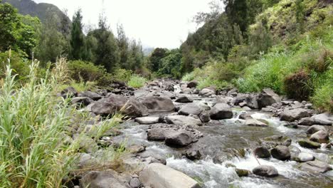 un rio de vida