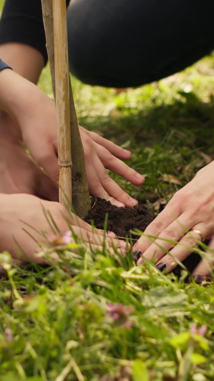Child and Adult Hands Planting a Young Tree in Soil