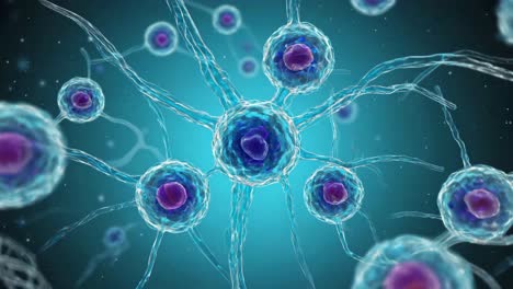 neurons and nerve cells
