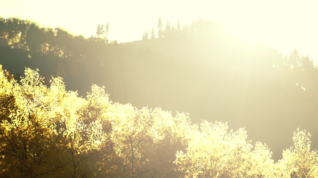 해가 지는 때 태양이 비추는 산들 사이에 가을의 나무가 있는 계곡