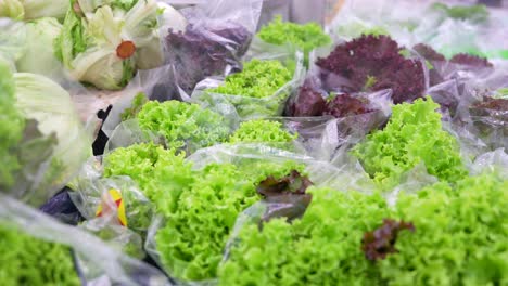 fresh packed lettuce in plastic market close up