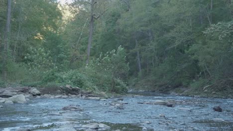 Calm-waters-of-the-Wissahickon-Creek,-leaves