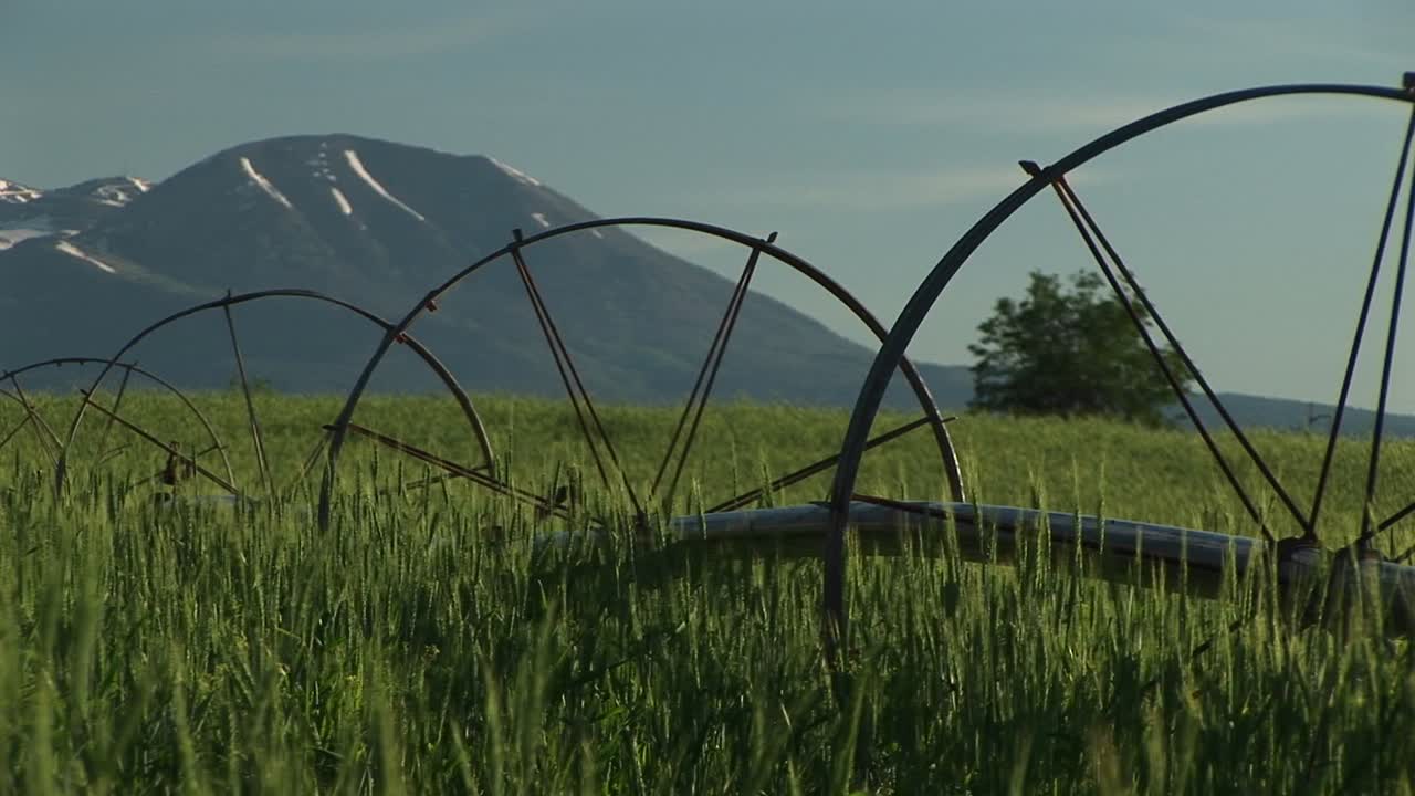 유타 농지에 있는 관개 스프링클러의 중간 샷과 배경에 있는 라 살 산맥