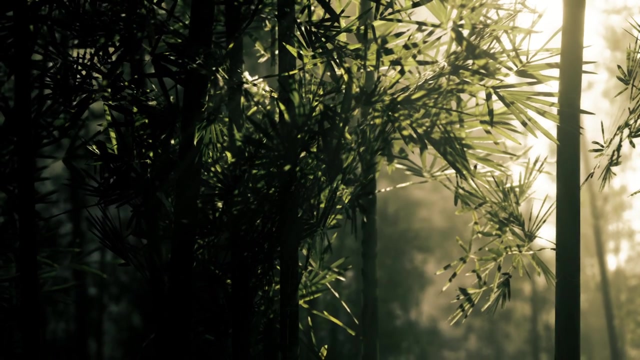 La giustapposizione di ombre e il fogliame verde lussureggiante crea serenità.