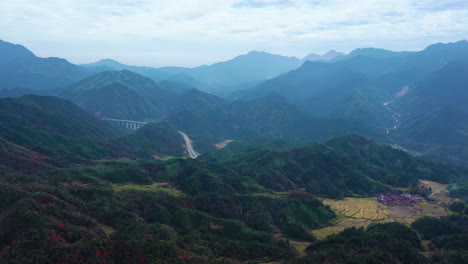 Aerial-photography-of-empty-long-city-road-highway-lined-with-green-trees-mountain-on-side,-adding-to-the-serene,-tranquil-atmosphere-of-the-scenery