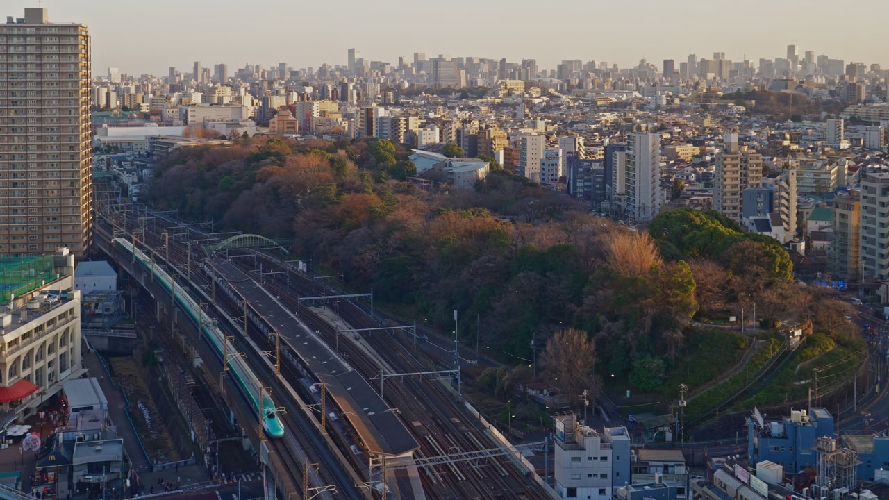 東京上空からの高角度固定広角ショット。画面下部をカーブして走る高架鉄道、中央にそびえる大きな木々の茂る丘、暖かなゴールデンアワーの光の中で地平線まで広がる高層ビル群