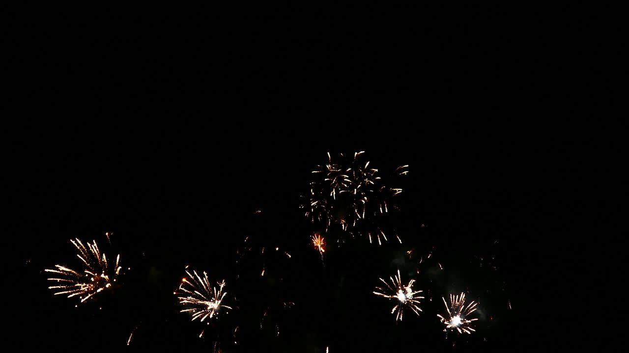 Beautiful celebration abstract colorful firework display at night background