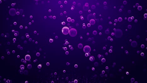 effervescences bubbles violet in violet background, loop
