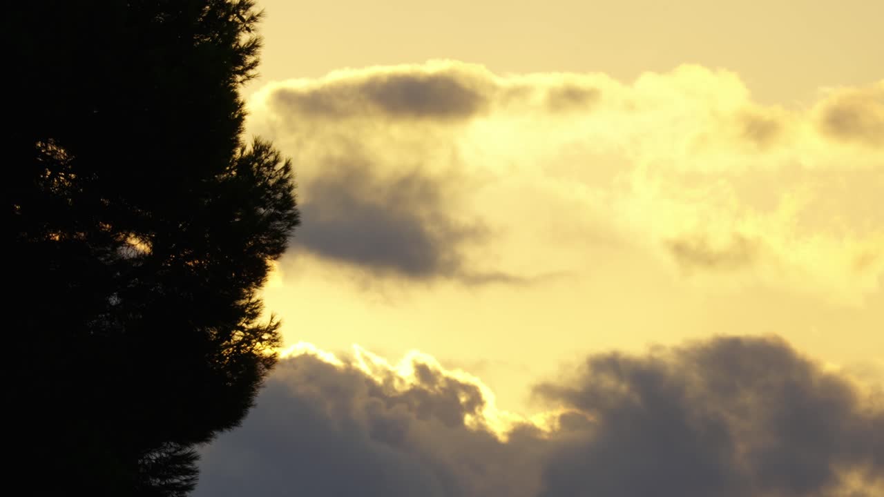 Tree Silhouettes Against Vivid Sunset Sky With Dense Clouds. Static Shot