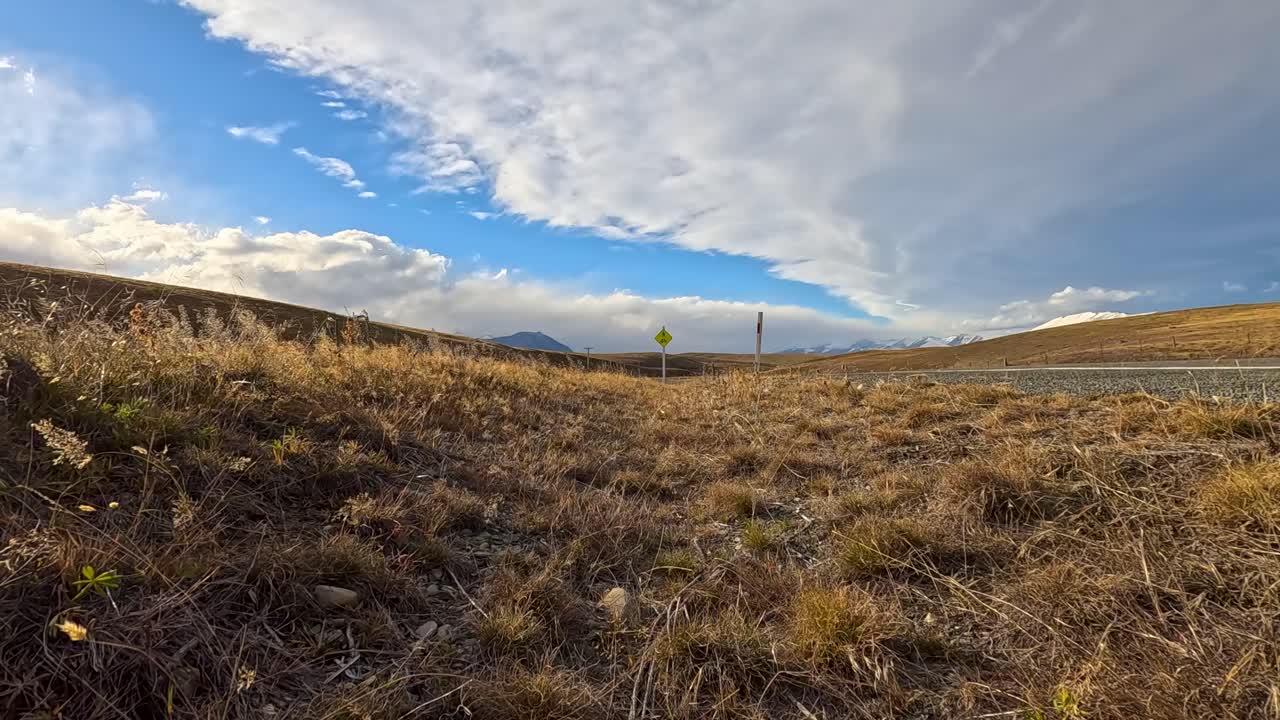 Low-angle view of dry autumn grass and weeds swaying in strong wind beside a rural highway under dramatic clouds and bright daylight, with distant road sign visible