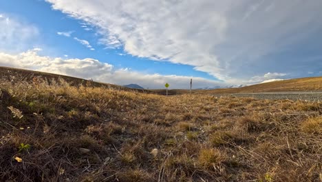 low-angle view of dry autumn grass and weeds swaying in strong wind beside a rural highway under dramatic clouds and bright daylight, with distant road sign visible
