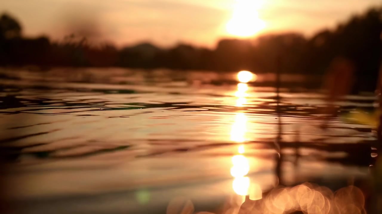 Golden Sun Reflections on Rippling Water Surface at Sunset