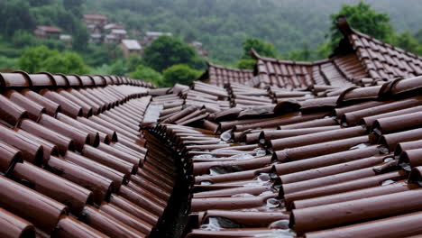 wet roof tiles overlooking a village