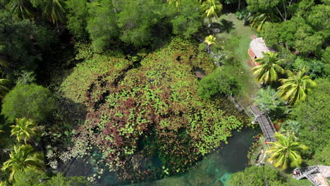 reserva natural el remate campeche méxico calkiní drone viajero vista superior