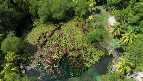 el remate natural reserve campeche mexico calkiní traveling drone top view