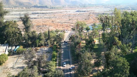 large trees on the banks of the maipo, in the commune of buin, country of chile