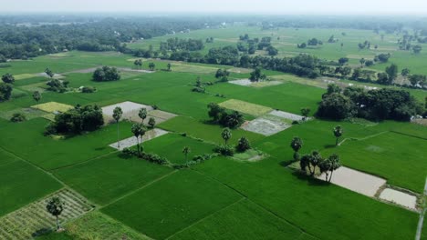 ariel vista tomada de bengala occidental inundación por el río damodar y mundeshwari en la temporada de lluvias