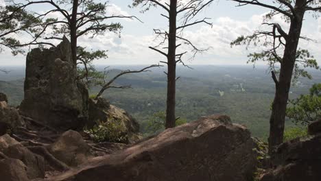 vista a la montaña con rocas y pinos