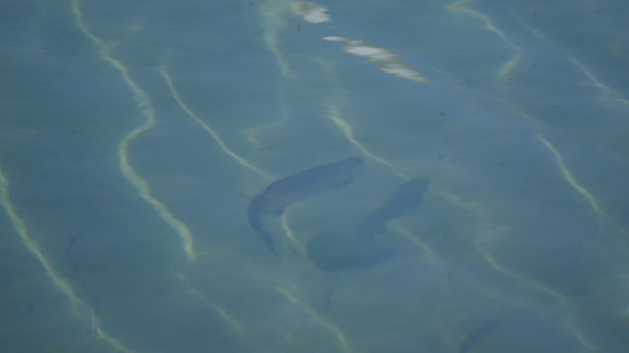 Two hikers explore Saas-Fee, Saas-Balen, and the Saas-Almagell dam, passing waterfalls, marmots, and alpine peaks in a breathtaking high-mountain landscape.