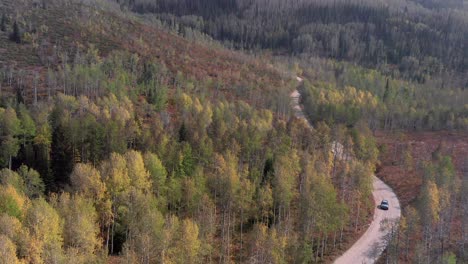 Aerial-footage-of-a-vehicle-traveling-on-an-isolated-road-on-Buffalo-pass-outside-of-Steamboat-Springs,-Colorado