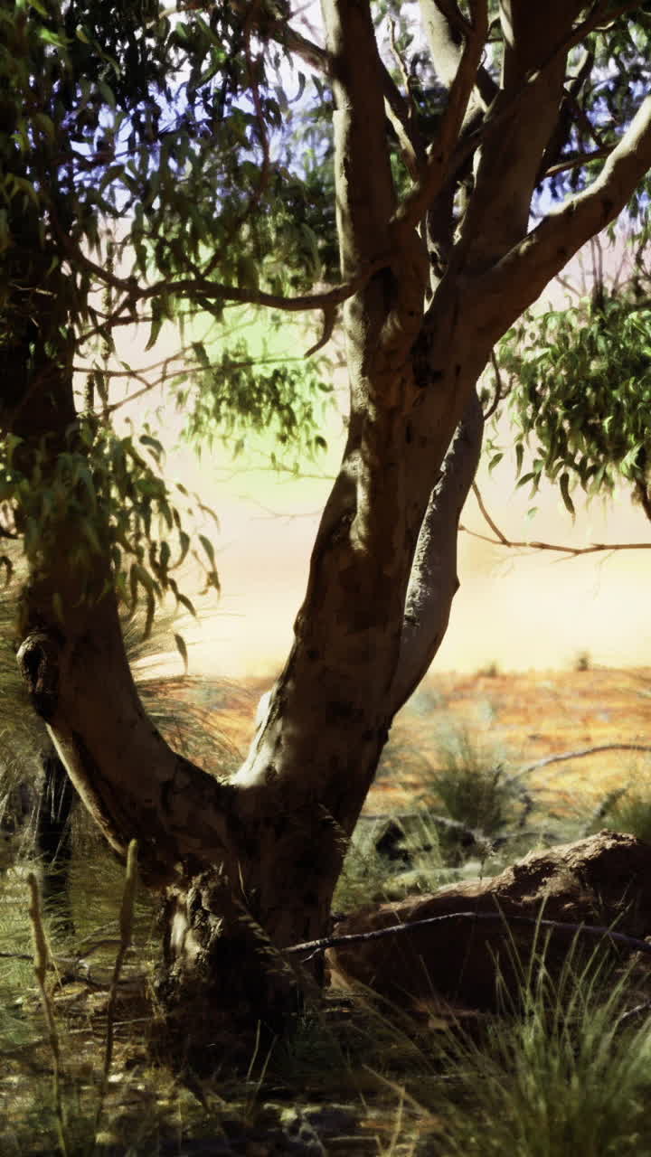 Lush vegetation under the warm sunlight in a serene natural landscape