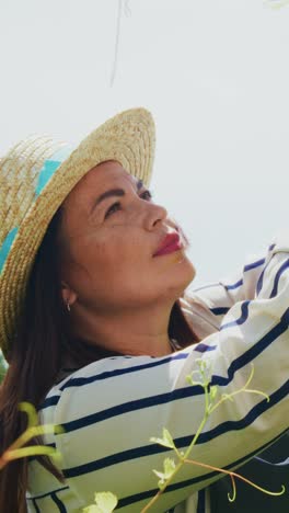 a gardener tends to vibrant grape vines, nurturing growth and harvest in a lush green environment while wearing colorful gloves and a sun hat