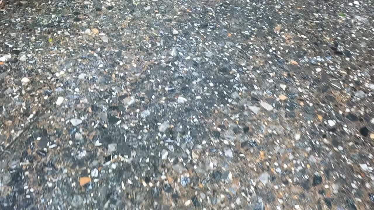 Close-up views of various footwear on a wet, pebbled ground with scattered leaves.